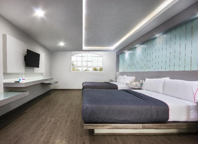 Hotel Mx Congreso مدينة مكسيكو الغرفة الصورة